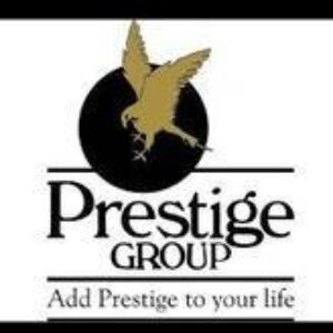 Profile photo of Prestige Falcon
